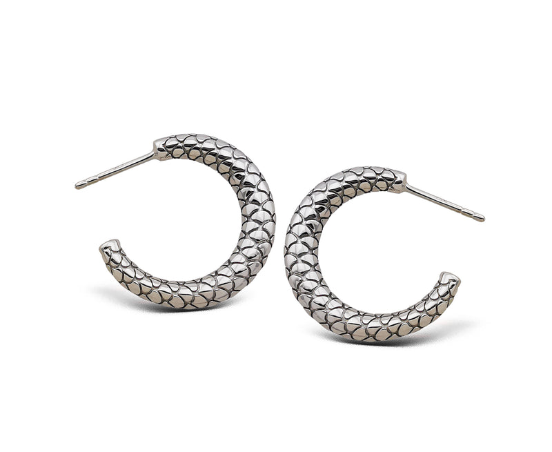 Jwls4u Earrings Snake S JE027S