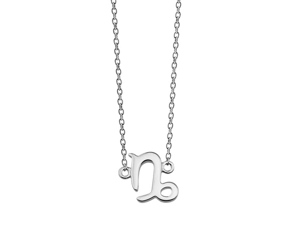 Zodiac Steenbok Ketting Zilver ZN001S